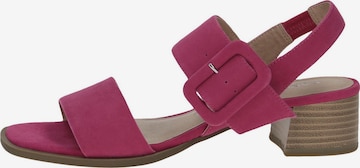 CAPRICE Sandal i rosa