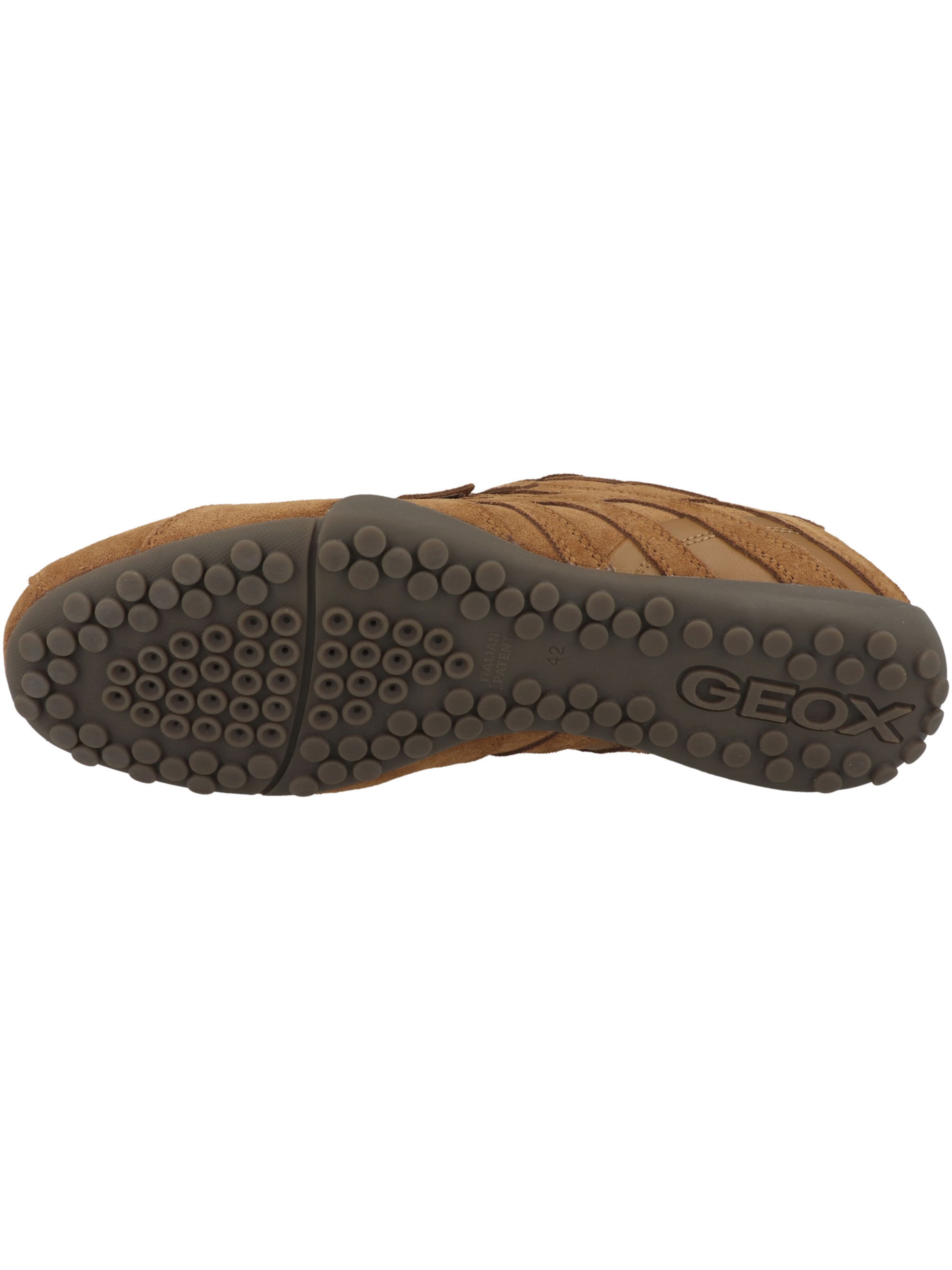 GEOX - Sapatilhas baixas 'Snake' em castanho