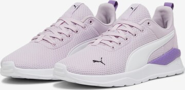 Baskets basses 'Anzarun Lite' PUMA en violet