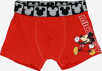 DISNEY Underpants 'Minnie Mouse' in Red: front