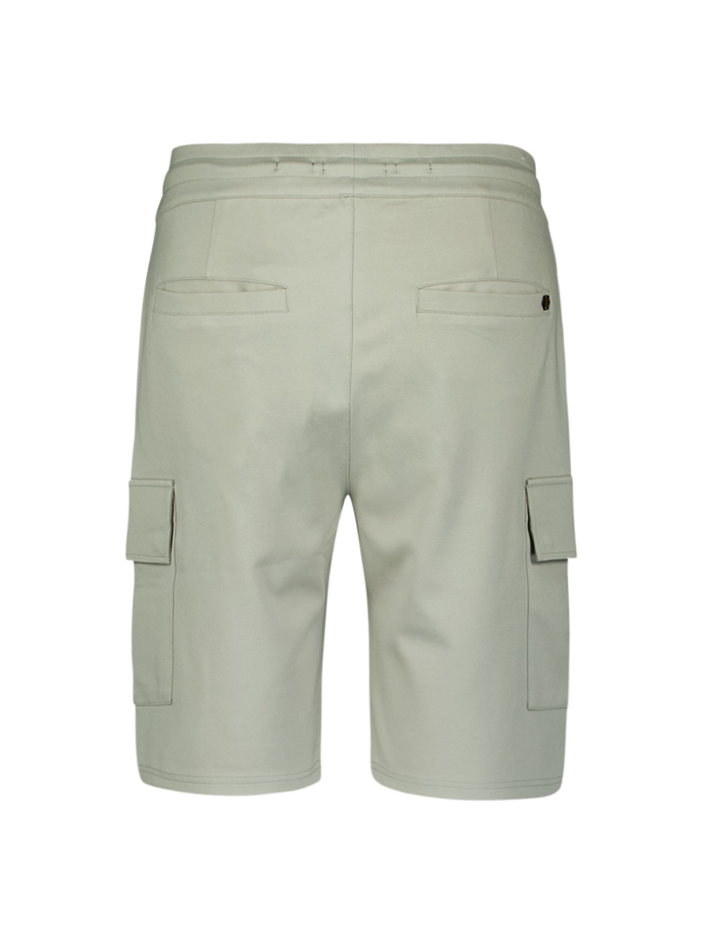Regular Pantalon cargo No Excess en gris