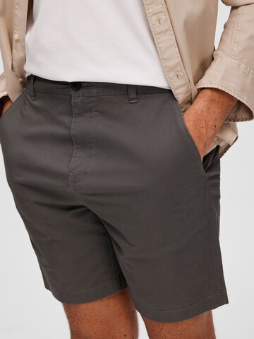 SELECTED HOMME Regularen Chino hlače | siva barva