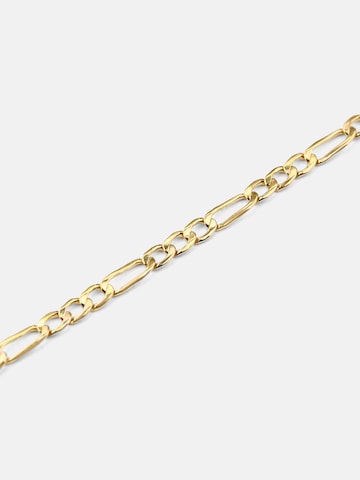 Vanlere Kette‌ in Gold