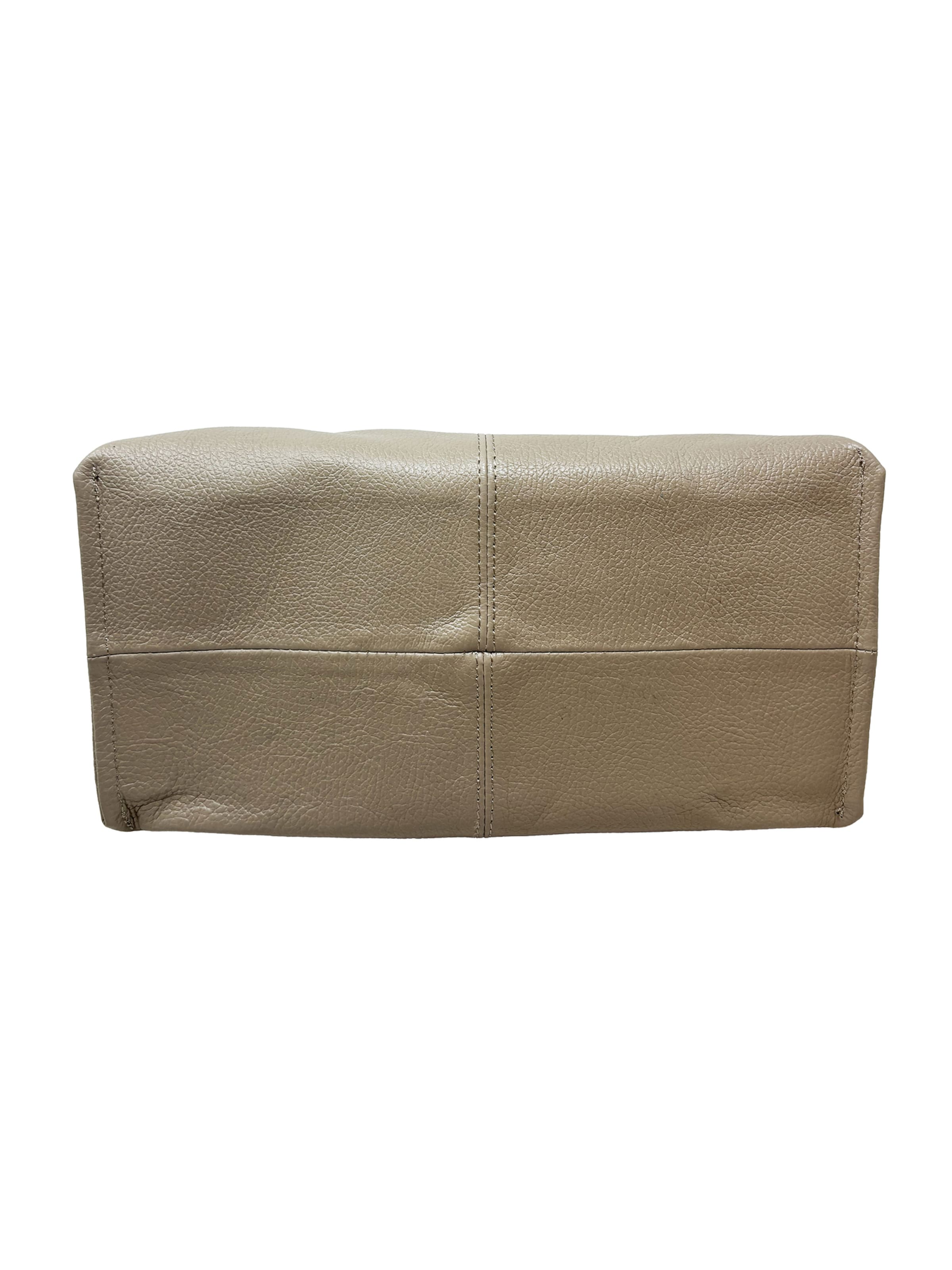 CHICCA BORSE Handbag in Brown