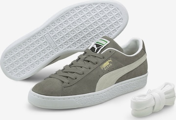 PUMA حذاء رياضي بلا رقبة 'Classic XXI' بلون أخضر