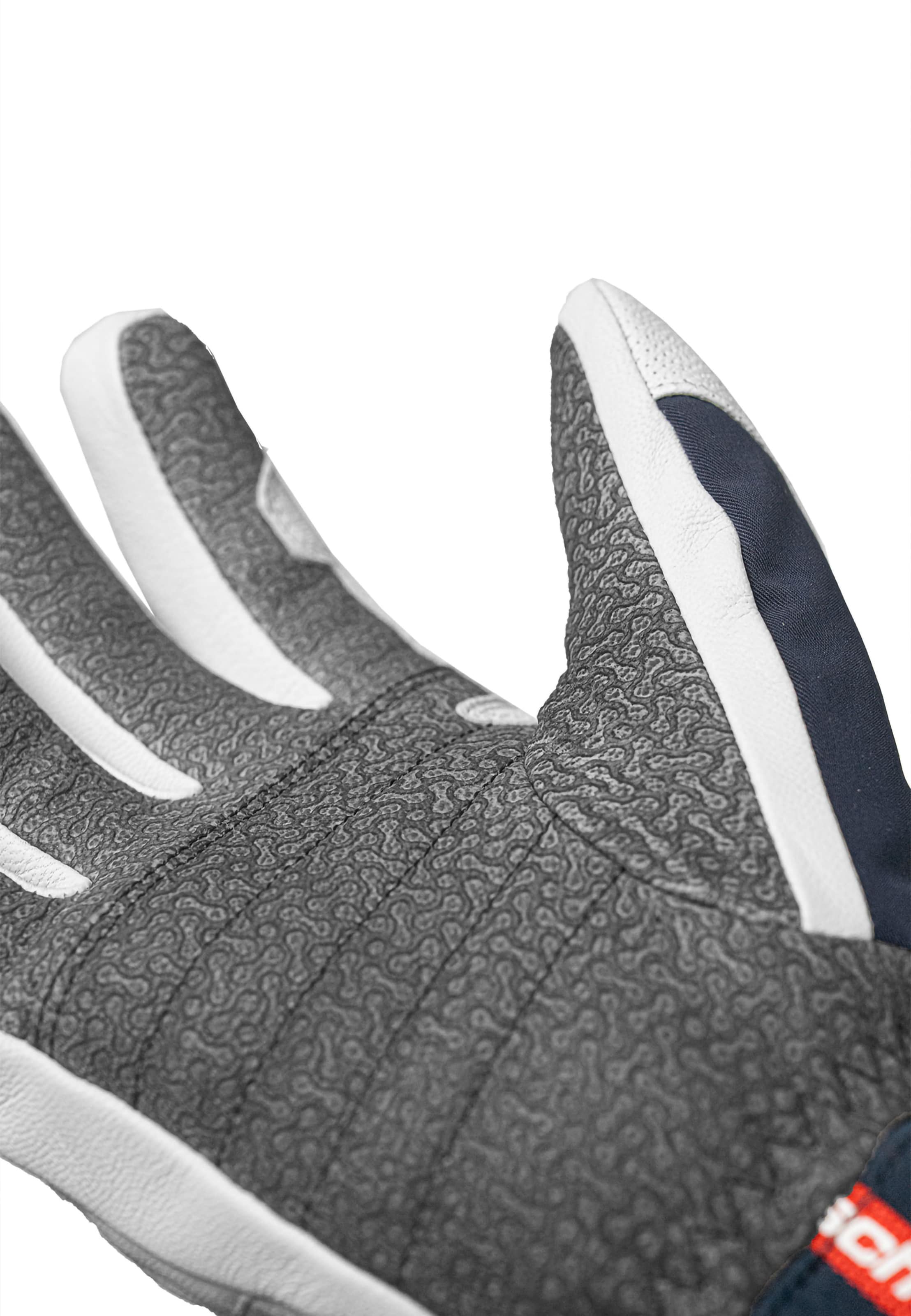 REUSCH Sporthandschoenen 'Alpine Heritage' in Blauw