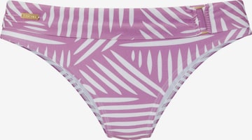 LASCANA - Braga de bikini en lila: frente