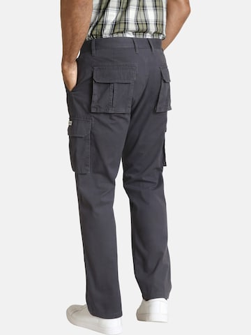 Loosefit Pantalon cargo 'Steen' Jan Vanderstorm en gris