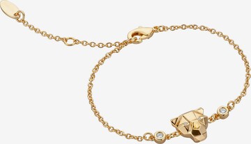 Just Cavalli Armband in Gold: predná strana