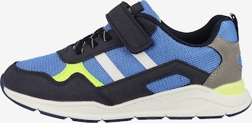 s.Oliver Sneaker in Blau