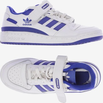 ADIDAS ORIGINALS Sneakers & Trainers in 37,5 in White: front