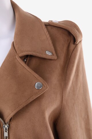 Chicorée Jacket & Coat in L in Brown