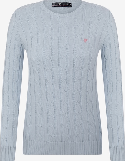 DENIM CULTURE Sweater 'ELISA' in Blue / Pink, Item view