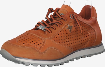 Cetti Sneakers 'C848 M' in Orange: front