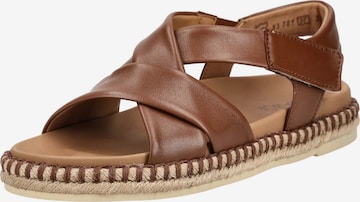GABOR Strap sandal in Brown: front