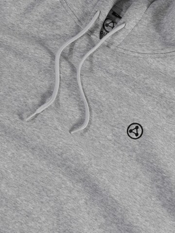 Molecule Sweatshirt i grå