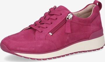 Chaussure de sport à lacets CAPRICE en rose : devant