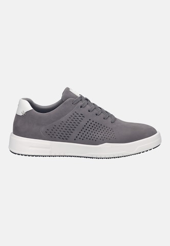 JOSEF SEIBEL High-top trainers in Grey