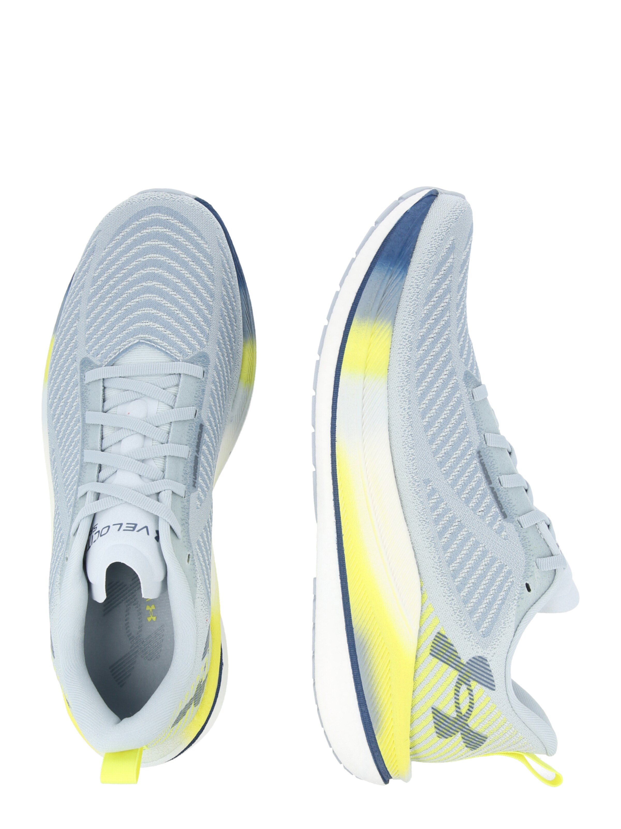 UNDER ARMOUR Παπούτσι για τρέξιμο 'Velociti SPD' σε μπλε