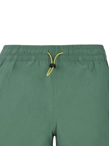PROTEST Board shorts 'PRTBoto' in Green