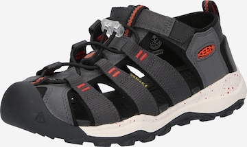 KEEN Sandalen 'Newport Neo H2' in Grijs: voorkant