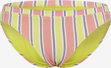 CHIEMSEE Bikini Bottoms in Mixed colors: front