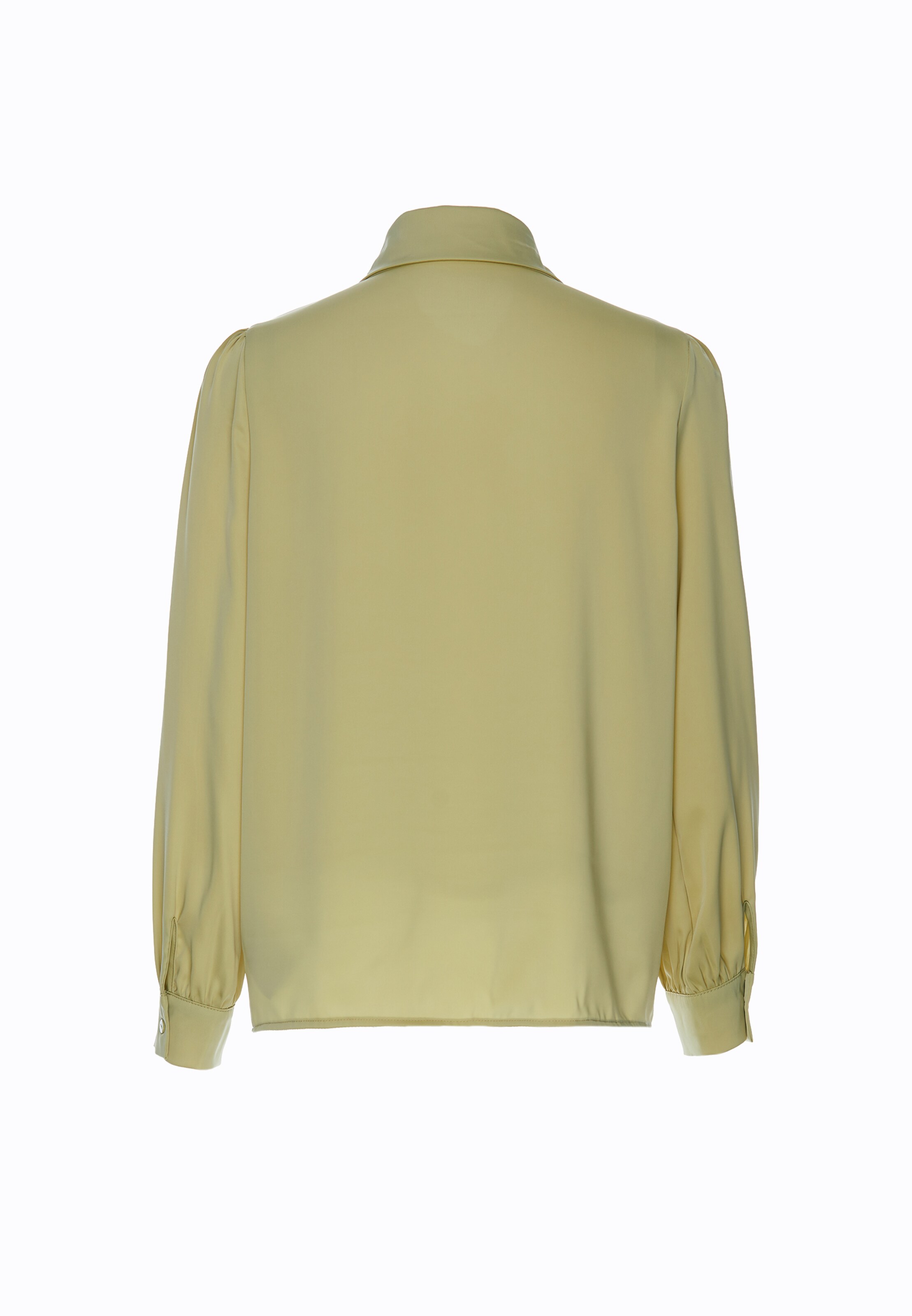 Chemisier usha BLACK LABEL en vert