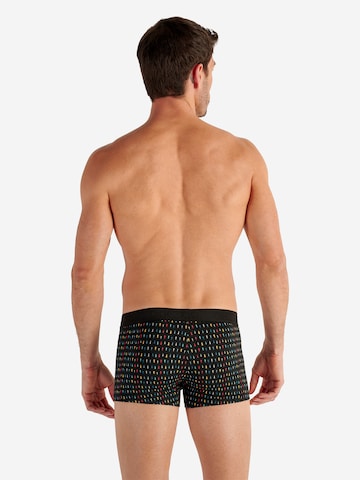 HOM Retro Pants ' Rolling ' in Mischfarben
