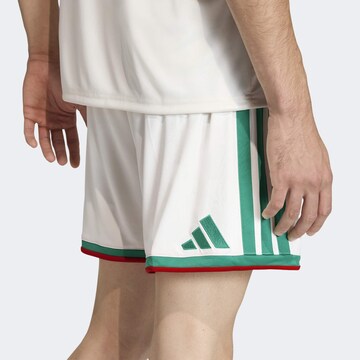 regular Pantaloni sportivi 'Algeria 26 Home' di ADIDAS PERFORMANCE in bianco