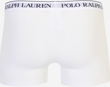 Polo Ralph Lauren Boxershorts 'Classic' in Blauw