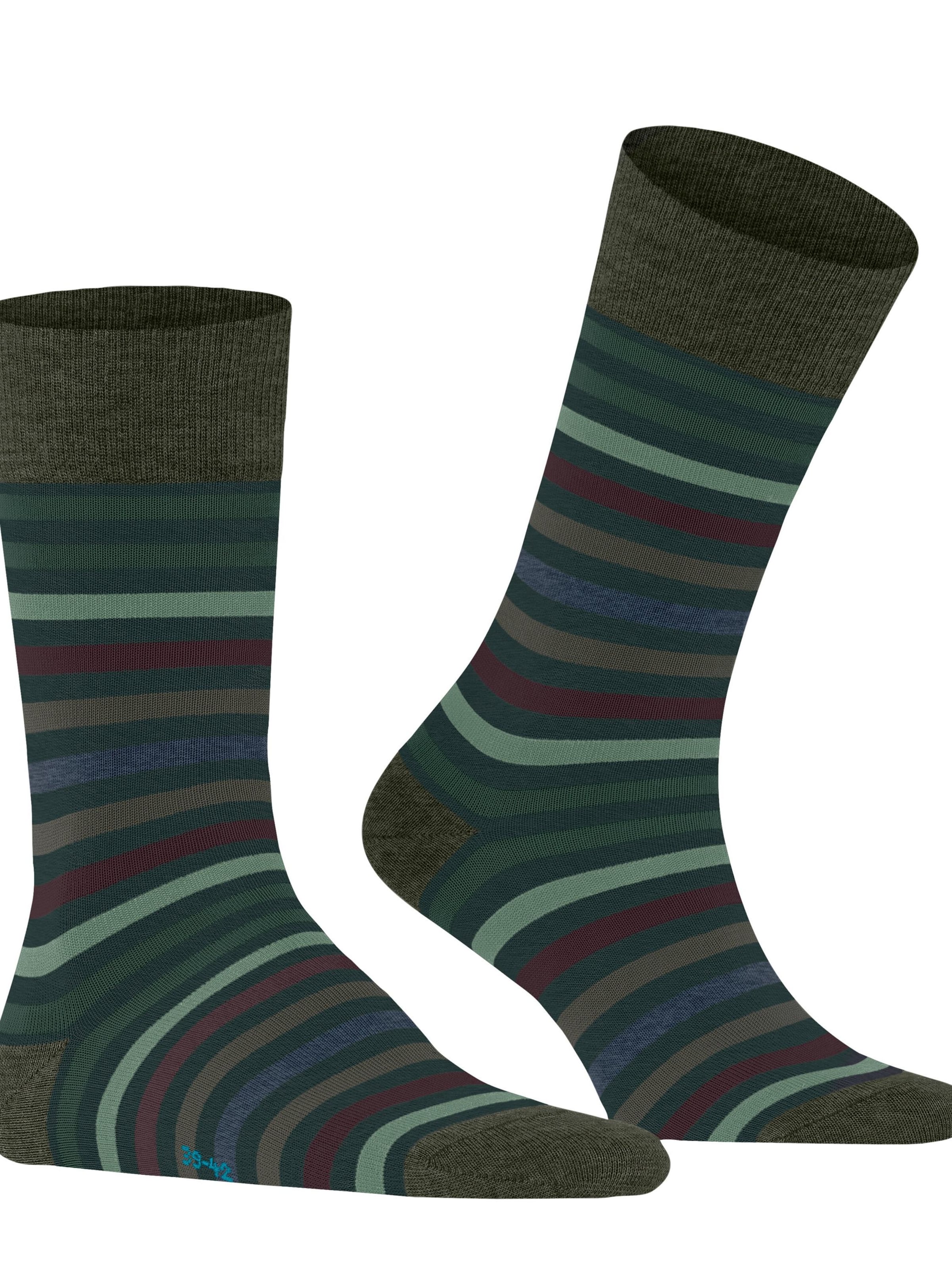 FALKE Socks 'Tinted Stripe' in Green