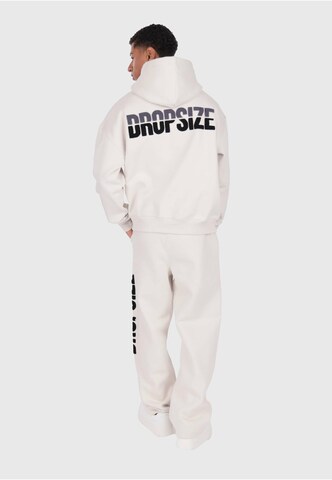 Dropsize Sweatshirt in Grau