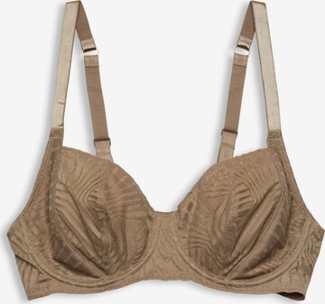 ESPRIT Bra in Brown: front