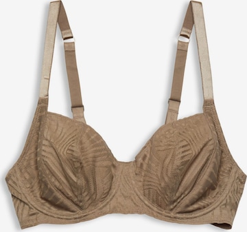 Soutien-gorge ESPRIT en marron : devant