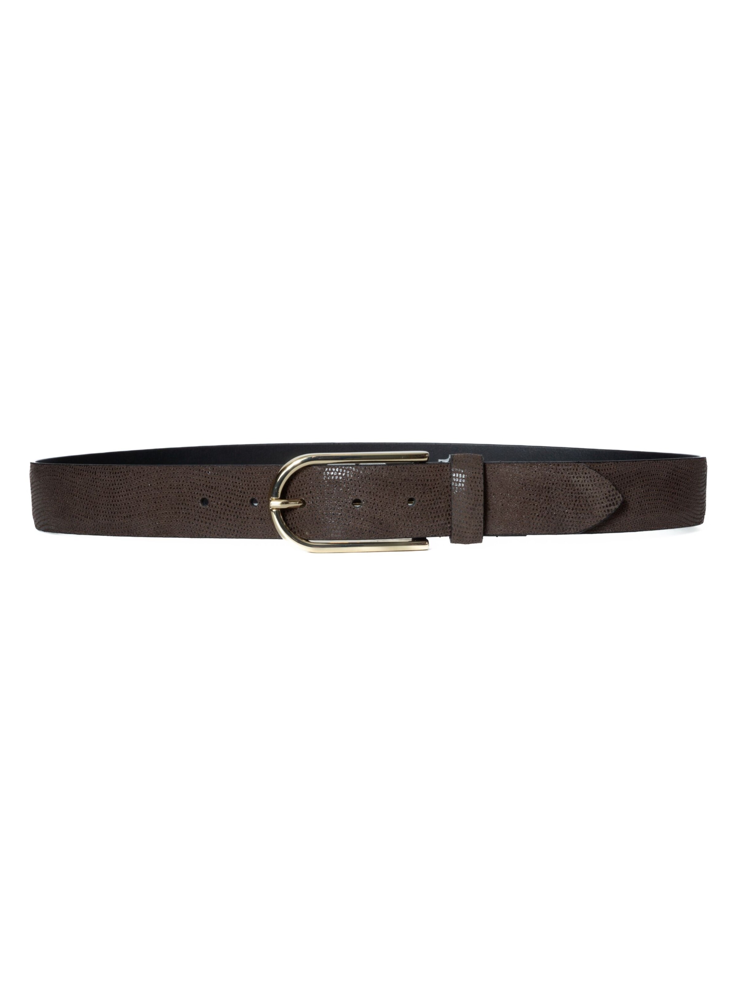 BA98 Belt in Brown