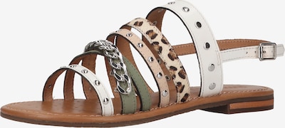 GEOX Sandalias con hebilla en mezcla de colores, Vista del producto