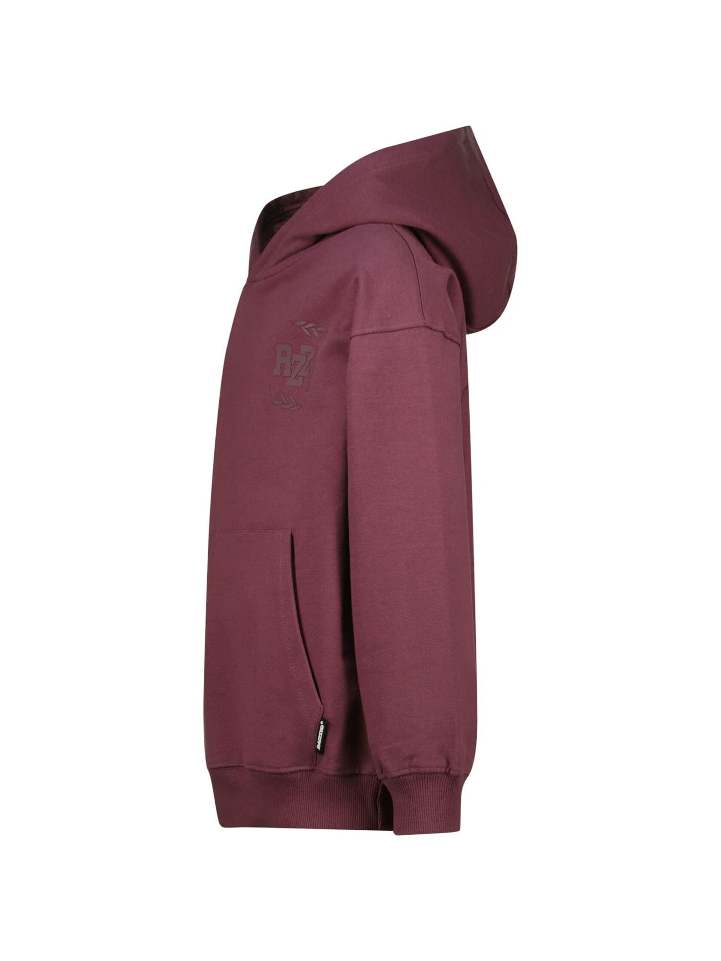 Raizzed Sweatshirt in Lila