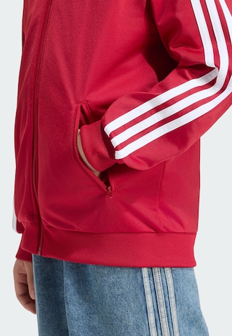 ADIDAS ORIGINALS Collegetakki 'Firebird' värissä punainen