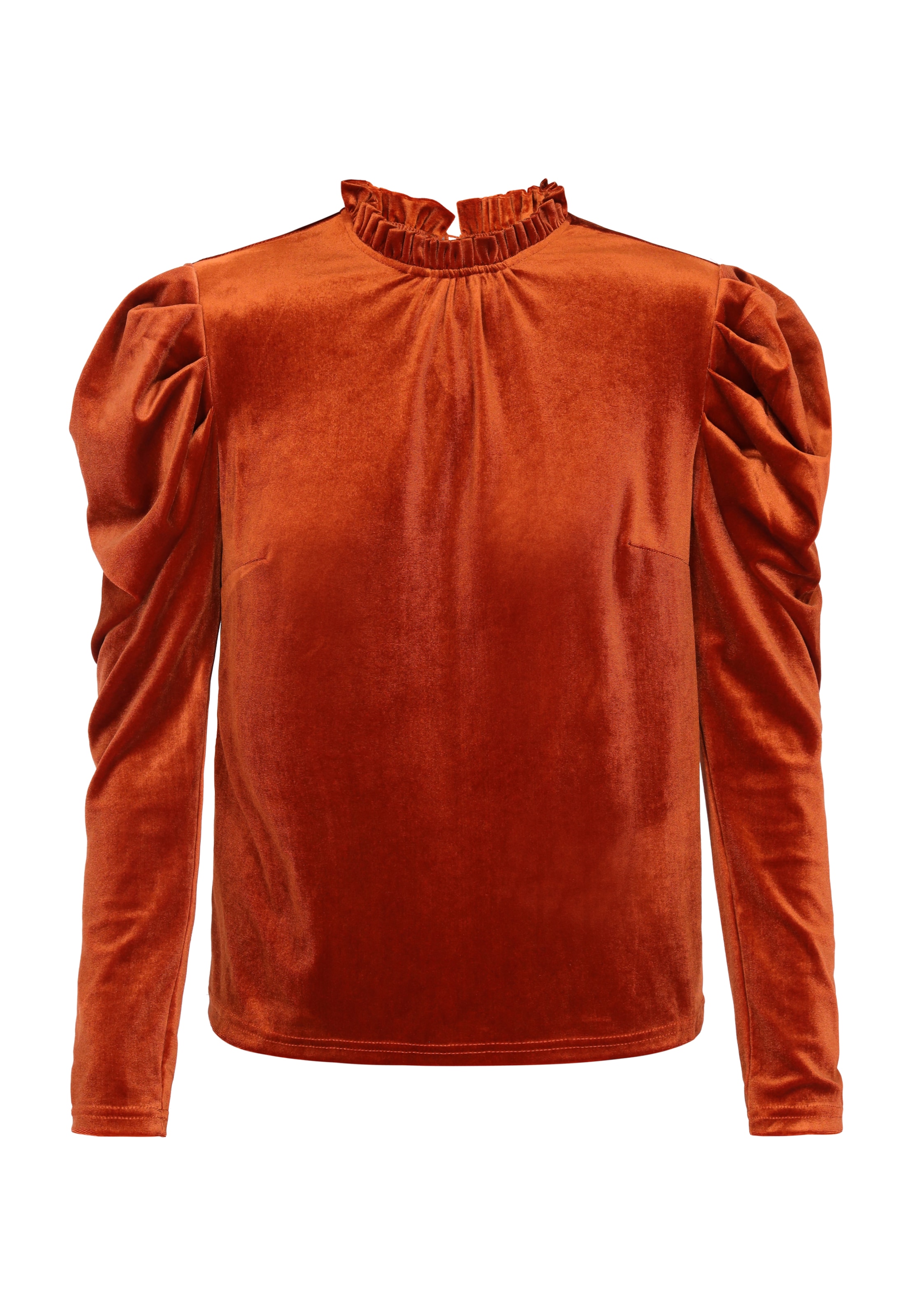 faina Blouse in Brown: front