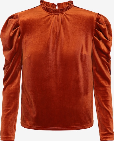 NAEMI Paita värissä kastanjanruskea, Tuotenäkymä