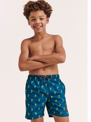 Shiwi Board Shorts 'Palm' in Blue: front