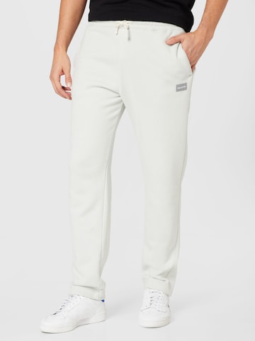 HOLLISTER Regular Trousers in Grey: front