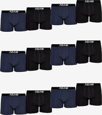 Adam Boxershorts '12er Pack' in Blau: Vorderseite