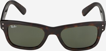 Ray-Ban Zonnebril '0RB2283' in Bruin