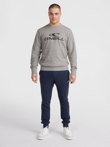 O'NEILL Свитшот в Серый