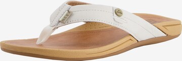 REEF Beach & Pool Shoes 'Pacific' in White: front