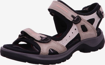 ECCO Sandale 'Sandalette Damen 069563 54695 Rauleder in beige' in Beige: Vorderseite