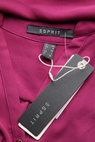 ESPRIT Blouse & Tunic in XS in Purple