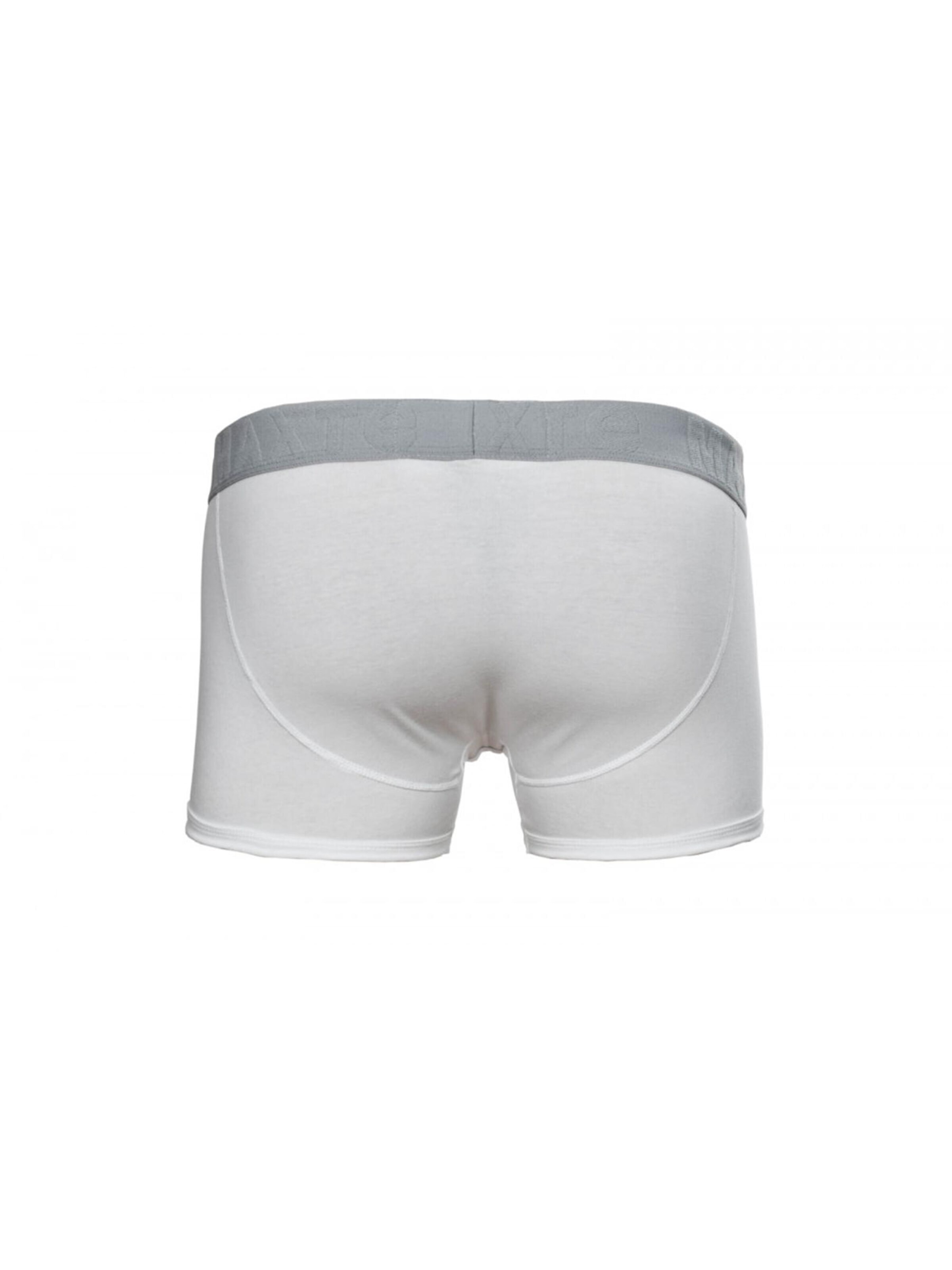 Boxers 'COTTON MAX Boxershorts Men 5er Pack' Maxte en blanc
