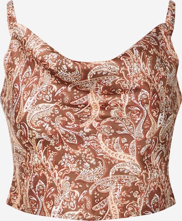 HOLLISTER Blouse in Brown: front
